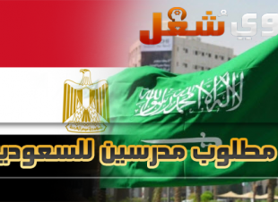 مطلوب مدرسين من مصر للعمل بالسعودية 31 يناير 2019